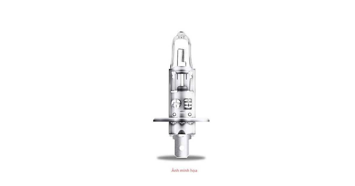 Bóng đèn Halogen Bosch H3 24V - 55W