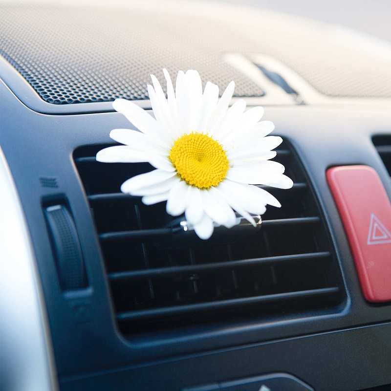 Bình xịt vệ sinh điều hòa chuyên dụng BIZOL AC Clean C30 