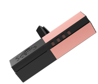 Nước hoa thanh gài cửa gió Scents 2-pack luxe vent sticks - rose gold