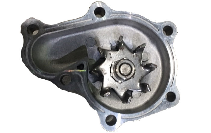 Bơm Nước VG30 Maxima