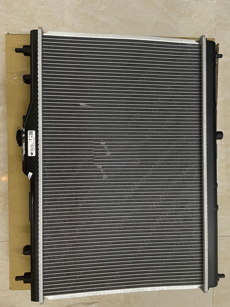 Két nước Nissan Grand Livina AT
